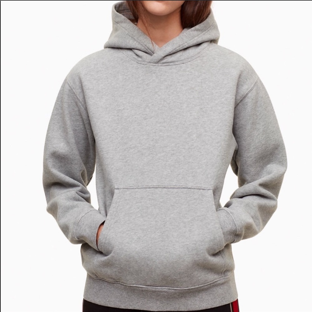 Aritzia TNA the perfect hoodie